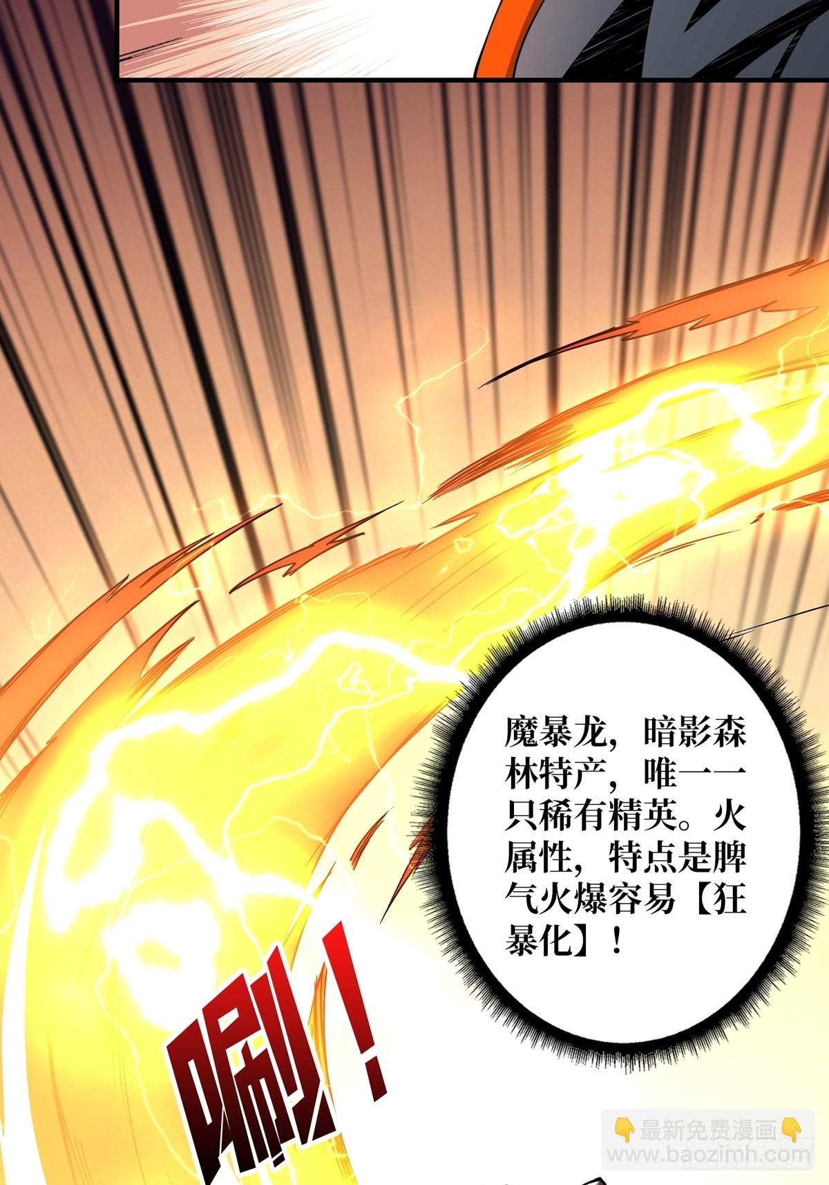 🍕开局就有王者账号 爱与魔法 第17页