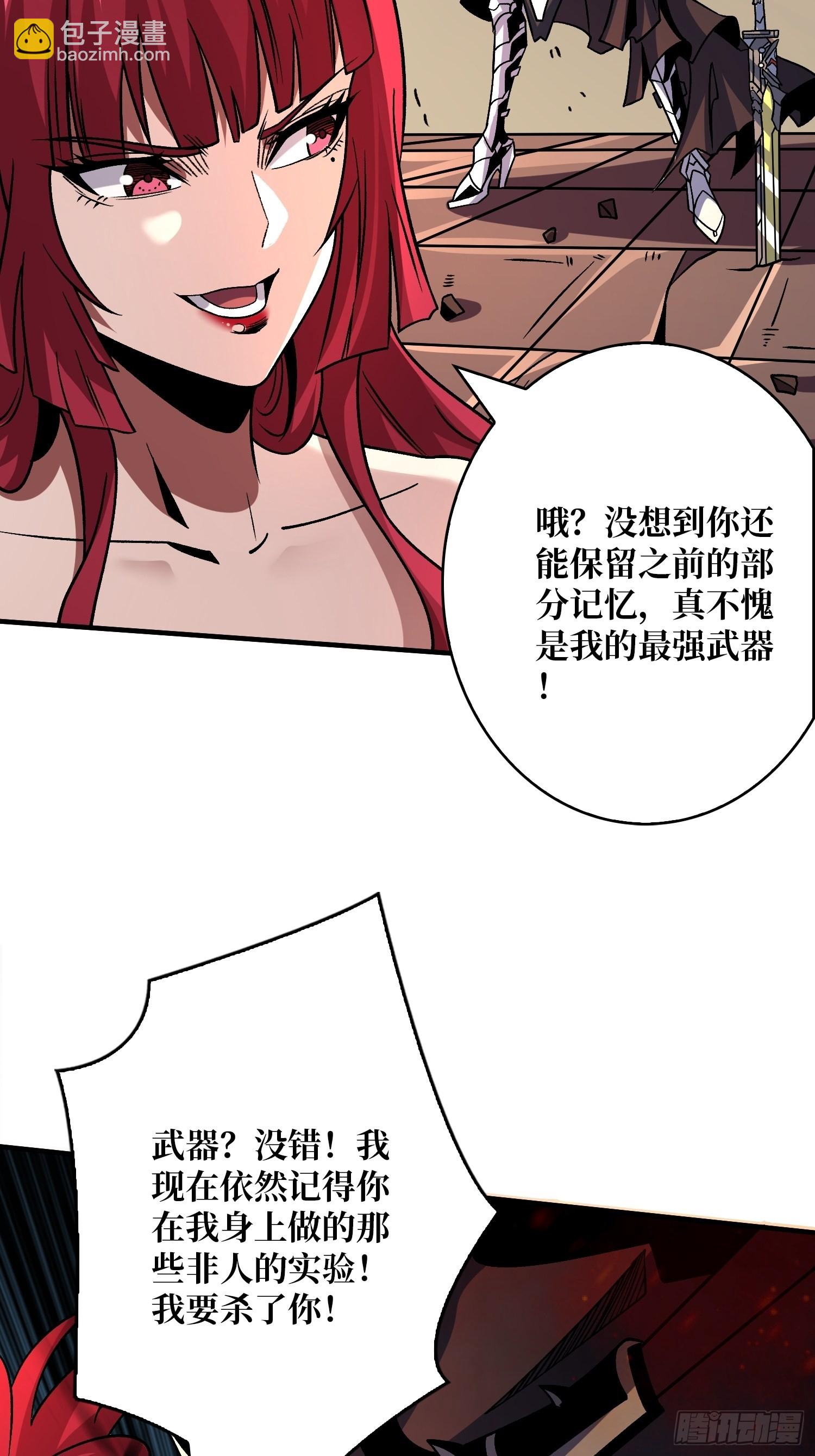 🍕开局就有王者账号 迷雾之地 第23页