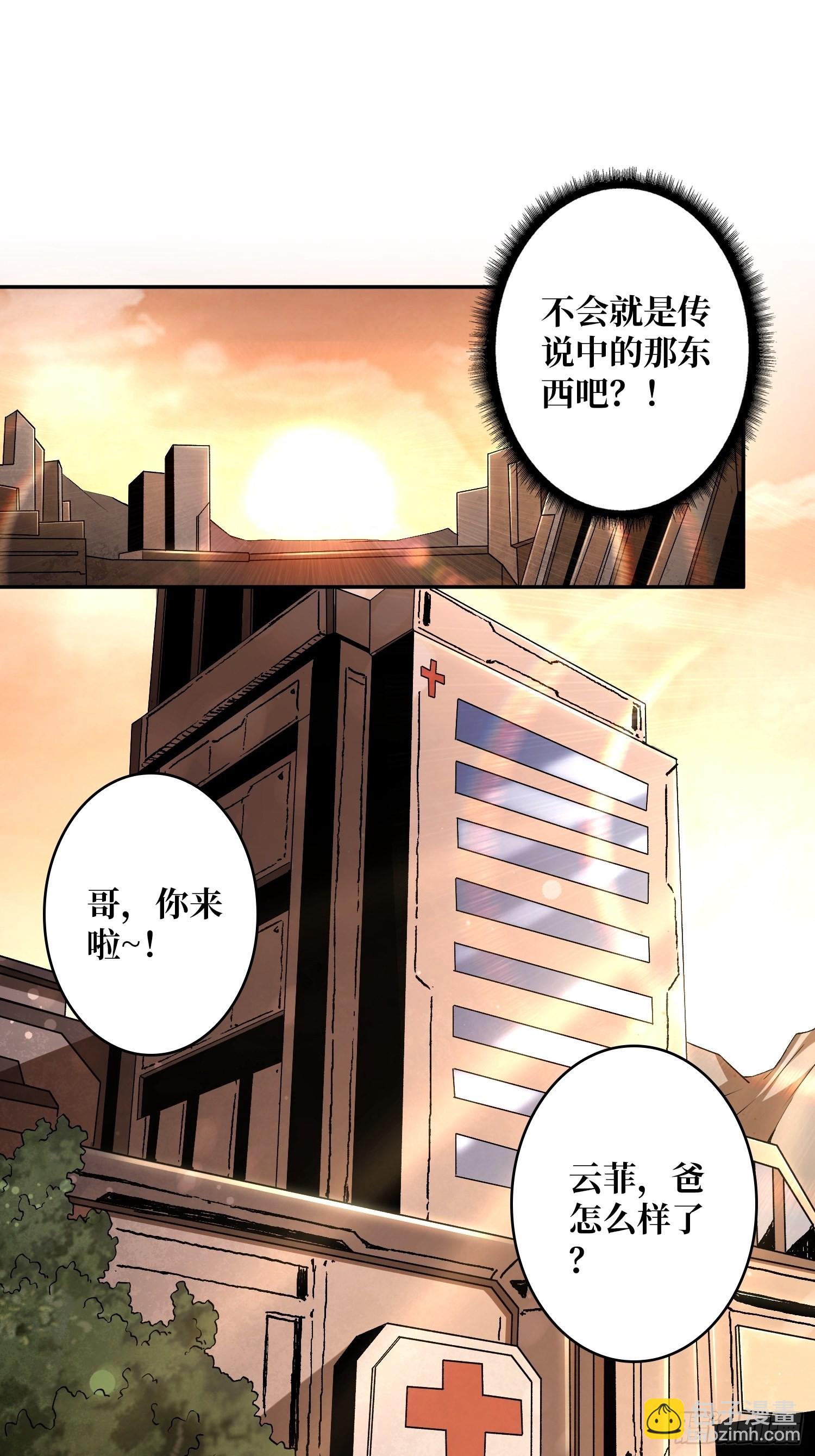 🍕开局就有王者账号 顶级解毒剂 第17页