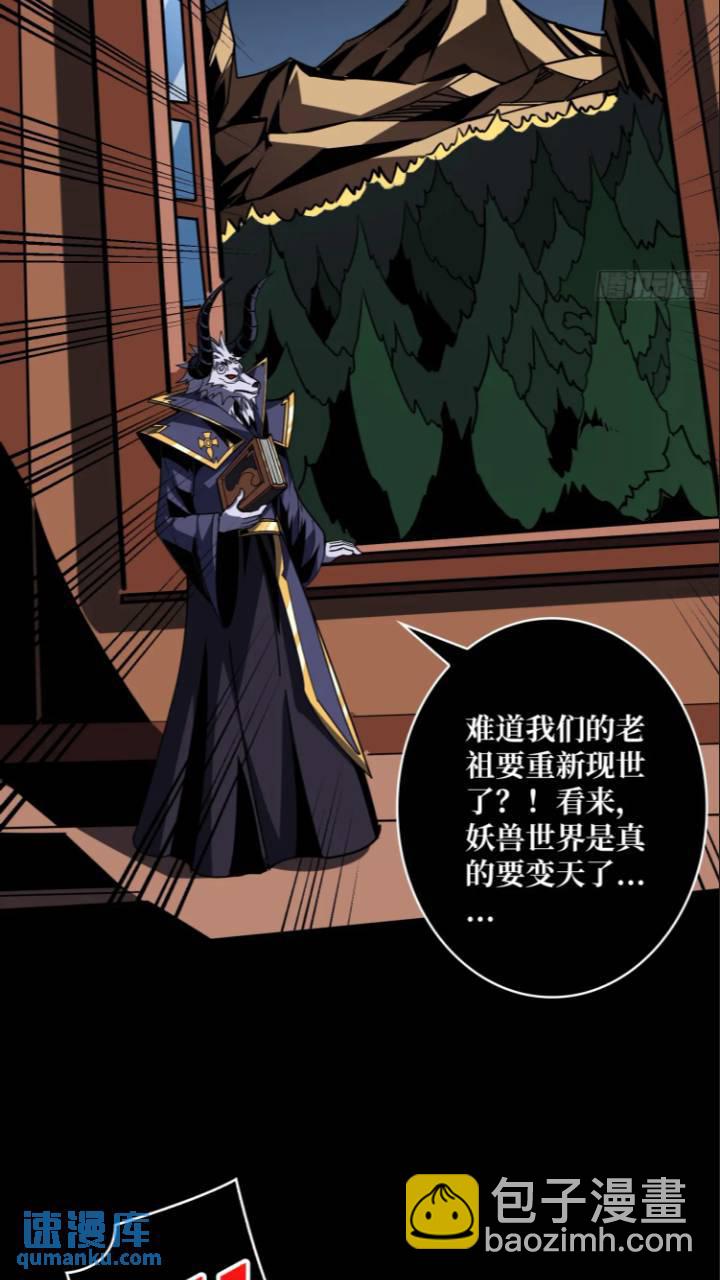 🍕开局就有王者账号 黄龙现世 第11页