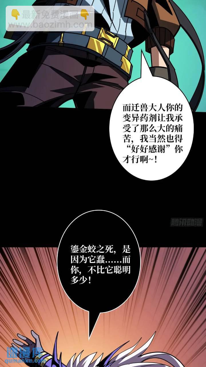 🍕开局就有王者账号 斩断过往 第12页