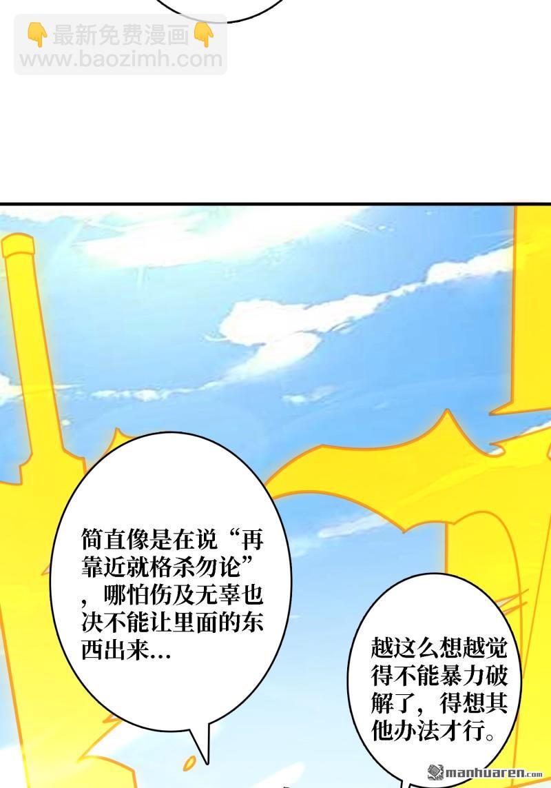 🍕开局就有王者账号 封印之壁 第48页