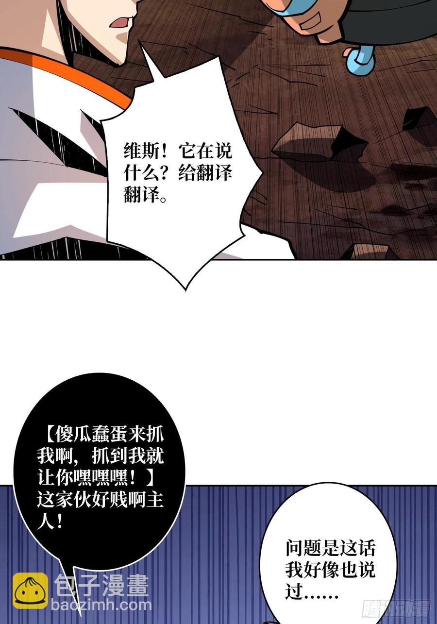 🍕开局就有王者账号 行走的宝库 第29页