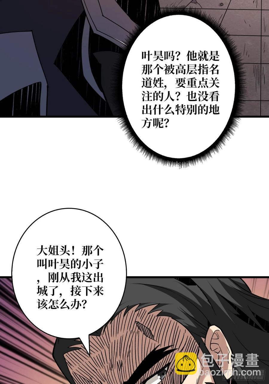 🍕开局就有王者账号 初入荒野 第20页