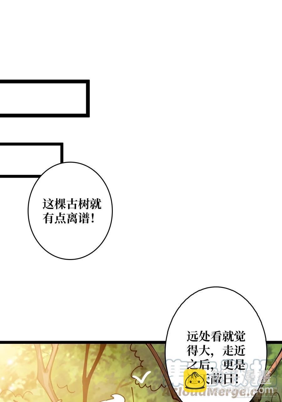 🍕开局就有王者账号 猫的报恩 第40页