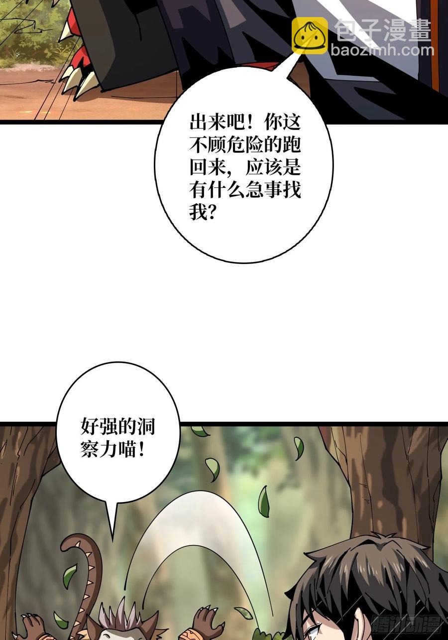 🍕开局就有王者账号 猫的报恩 第47页