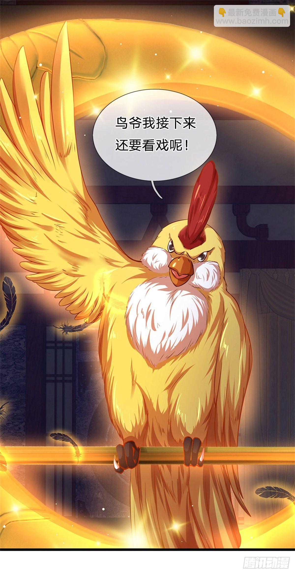 第34话  鸟爷我给你们加彩头-第35话
