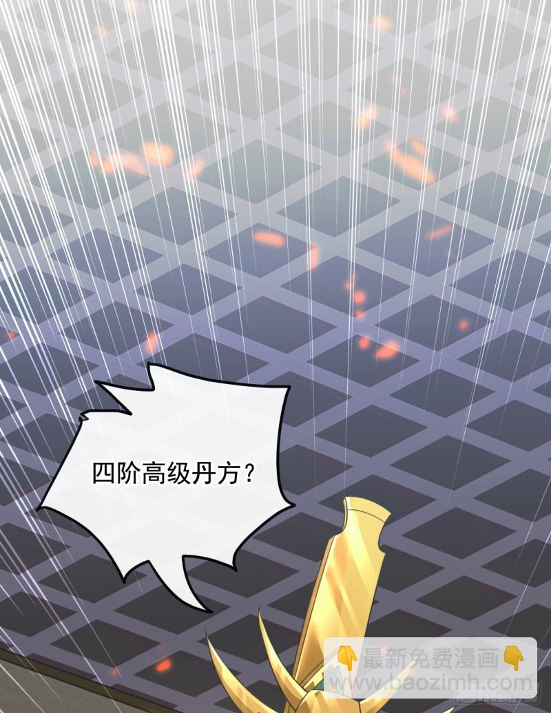 第7话 赌丹？求之不得！-第7话