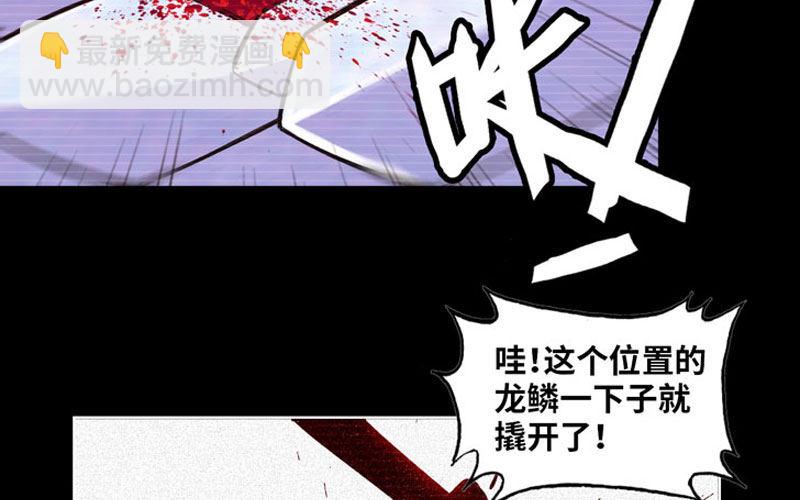 分吃龙肉(1/2)-第37话