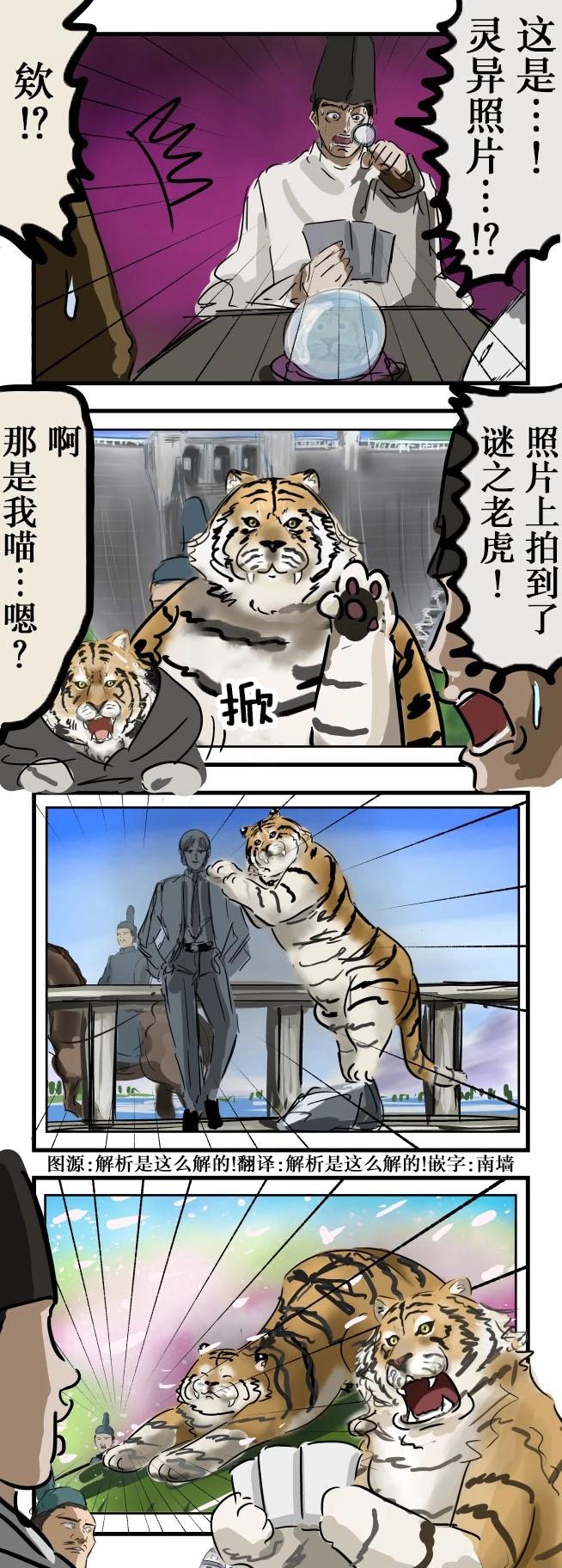 🍕カコミスル老师四格合集 老虎与照片 第1页