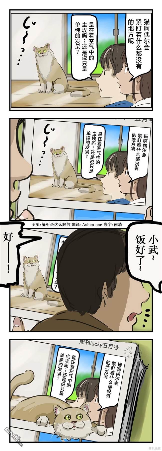 🍕カコミスル老师四格合集 猫在看 第1页