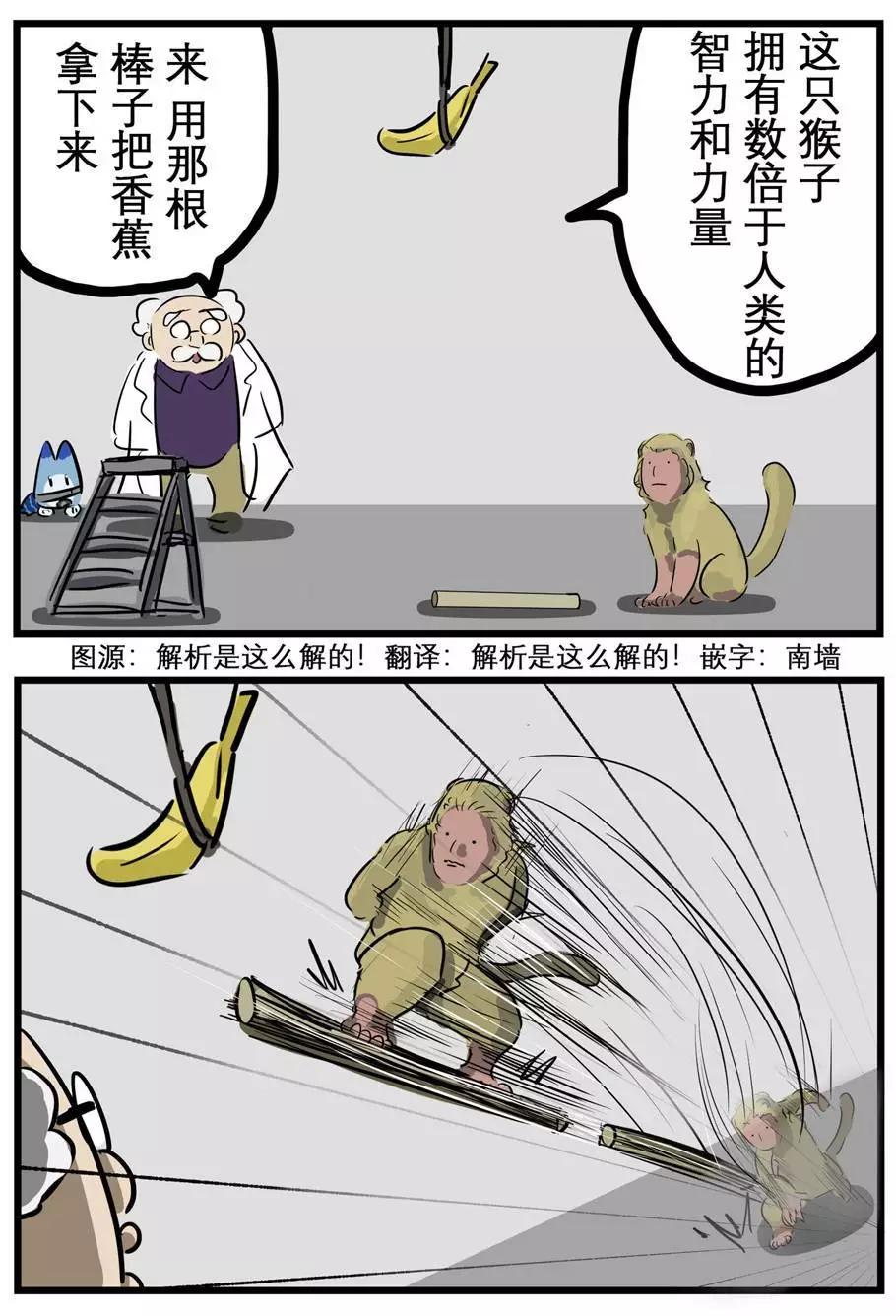 🍕カコミスル老师四格合集 测试 第1页