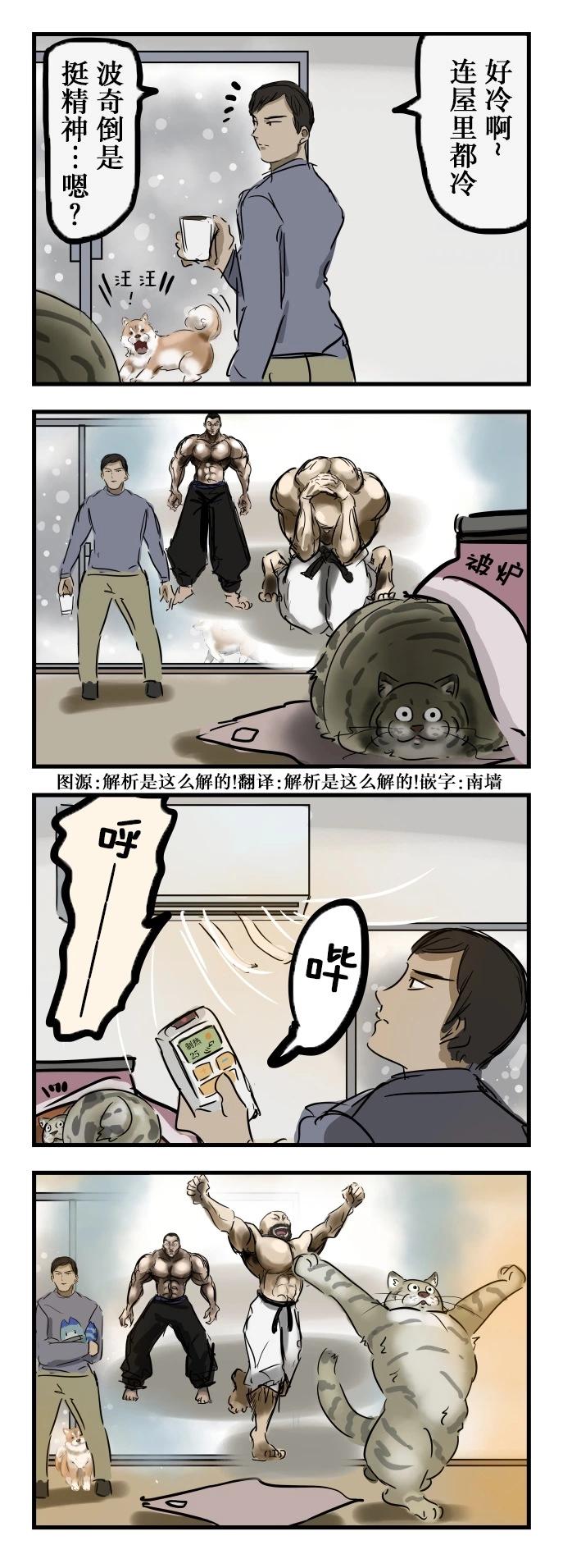 🍕カコミスル老师四格合集 变球的猫 第1页