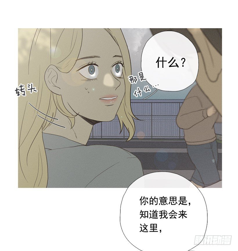 爱的收容所-第43话