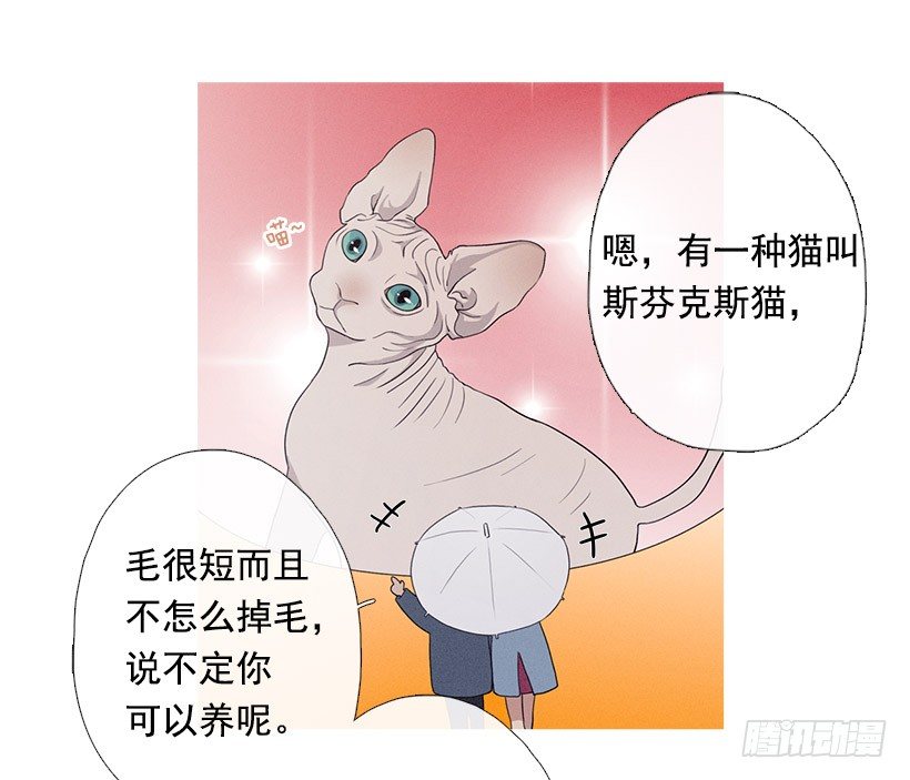散场后-第65话