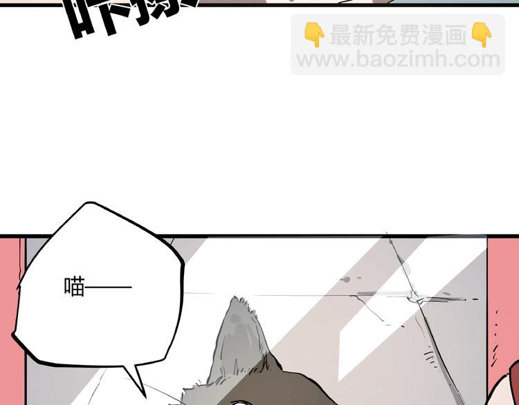 第1话 黑猫之疑(1/3)-第1话