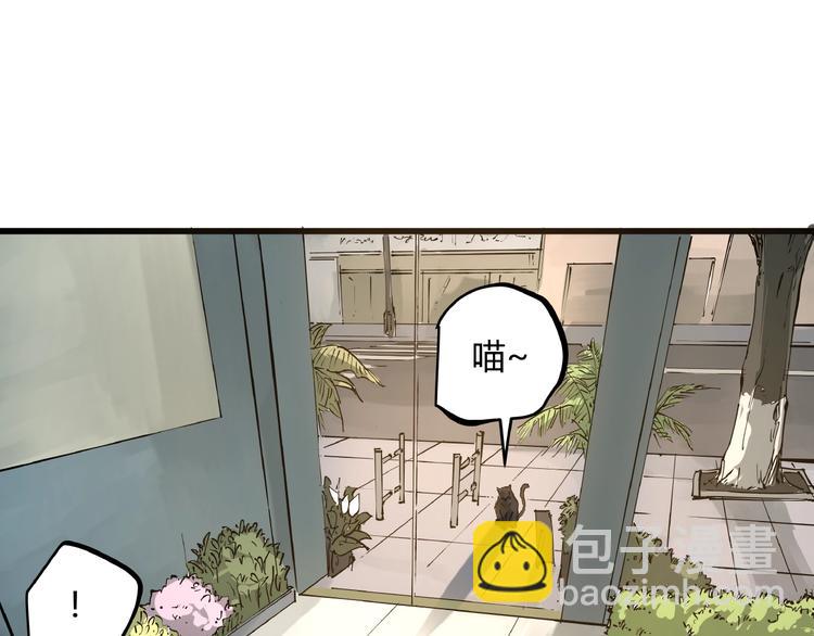 第1话 黑猫之疑(1/3)-第1话