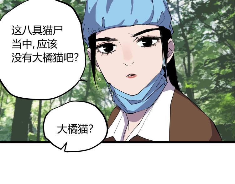第11话 天作之合-第11话