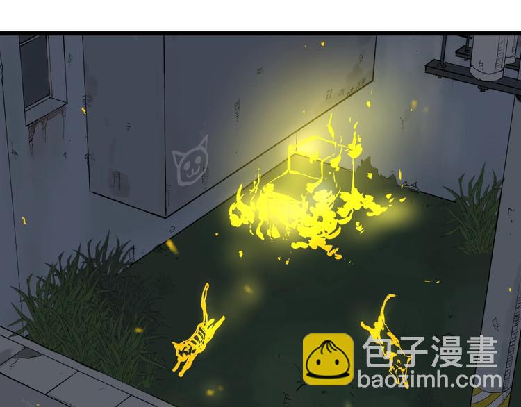 第5话 猫尸之谜(1/3)-第5话