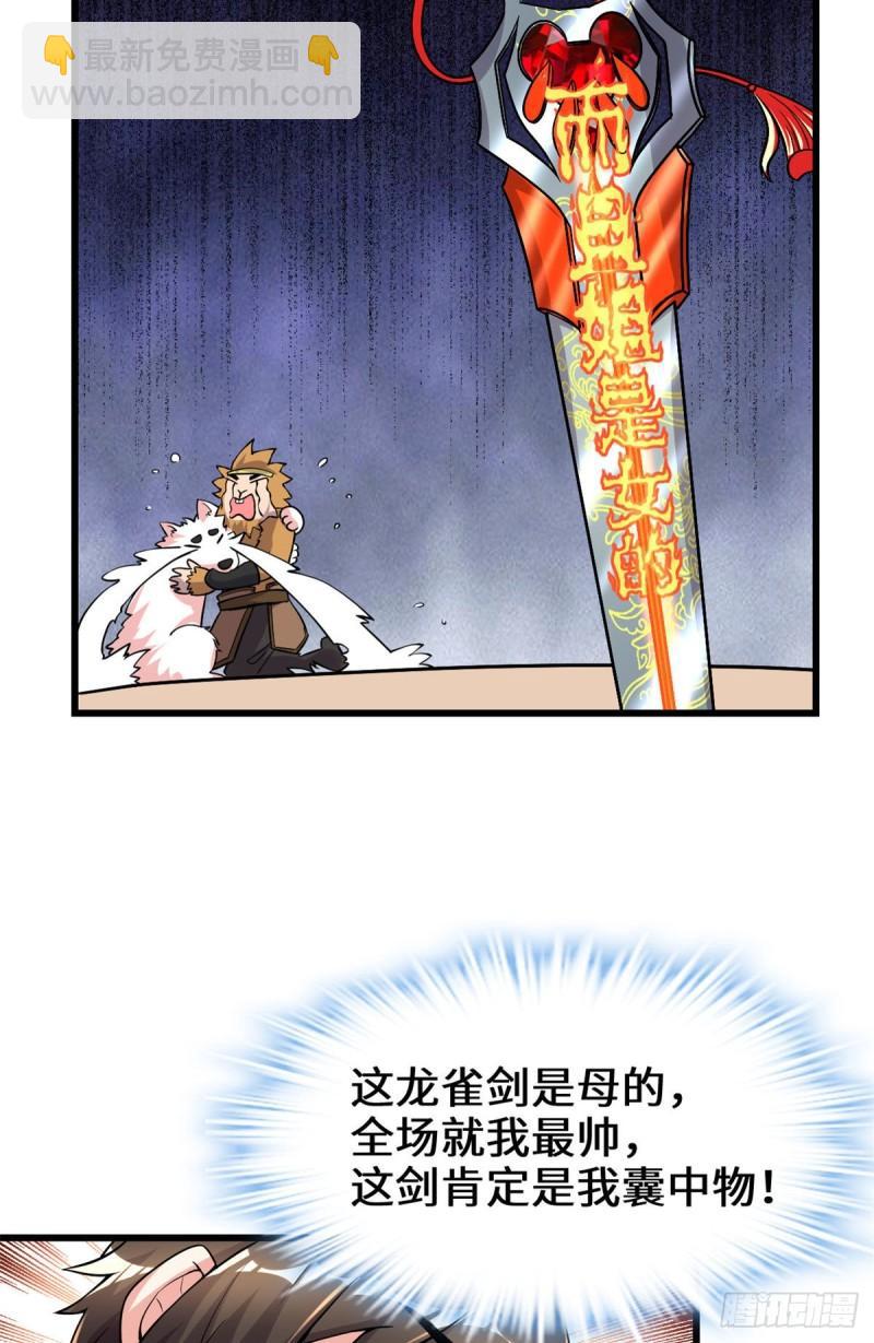 🍕靠你啦！战神系统 162 龙雀剑认主 第14页