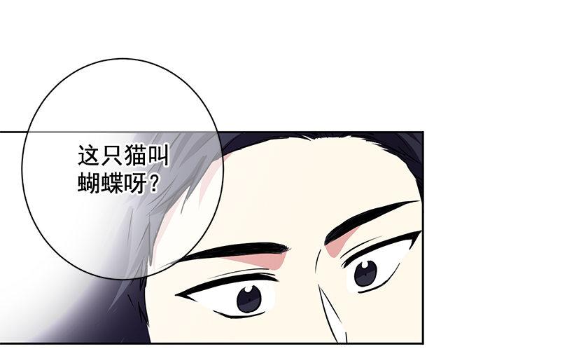 第5话（下）-第11话