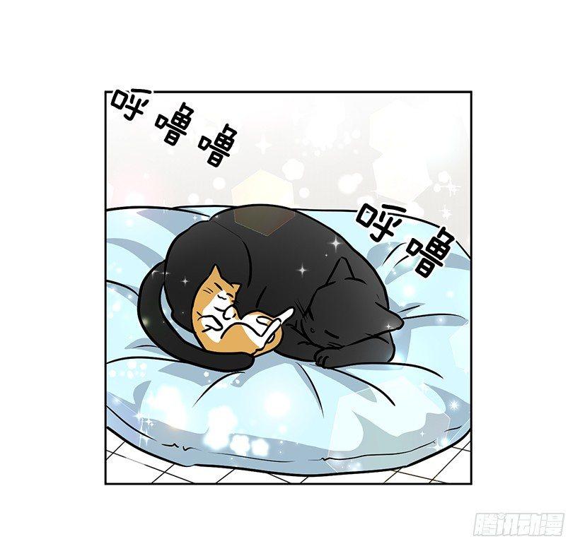 第22话（下）-第45话