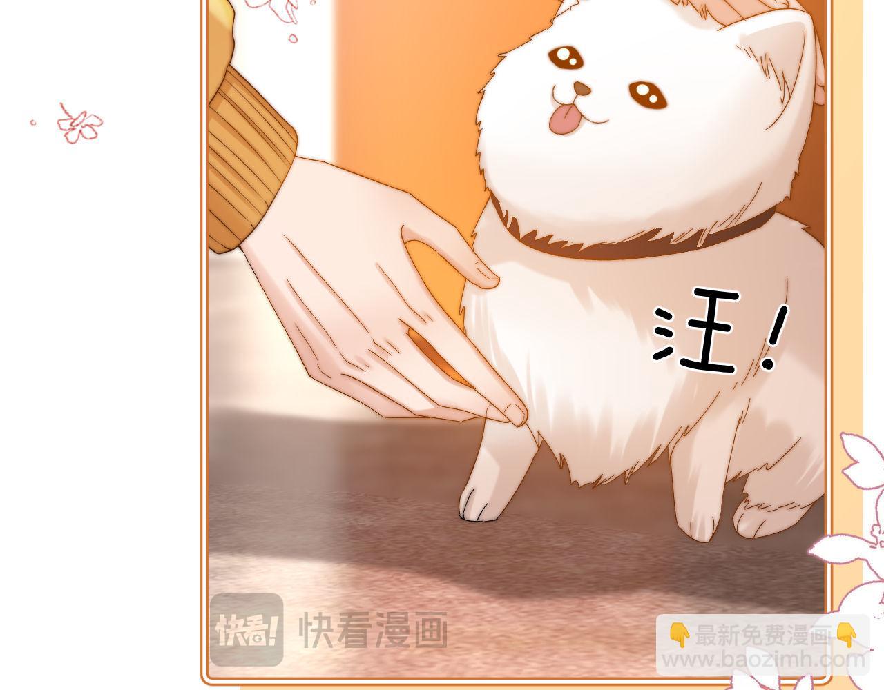 第49话 棉花糖走丢了？！(1/2)-第143话