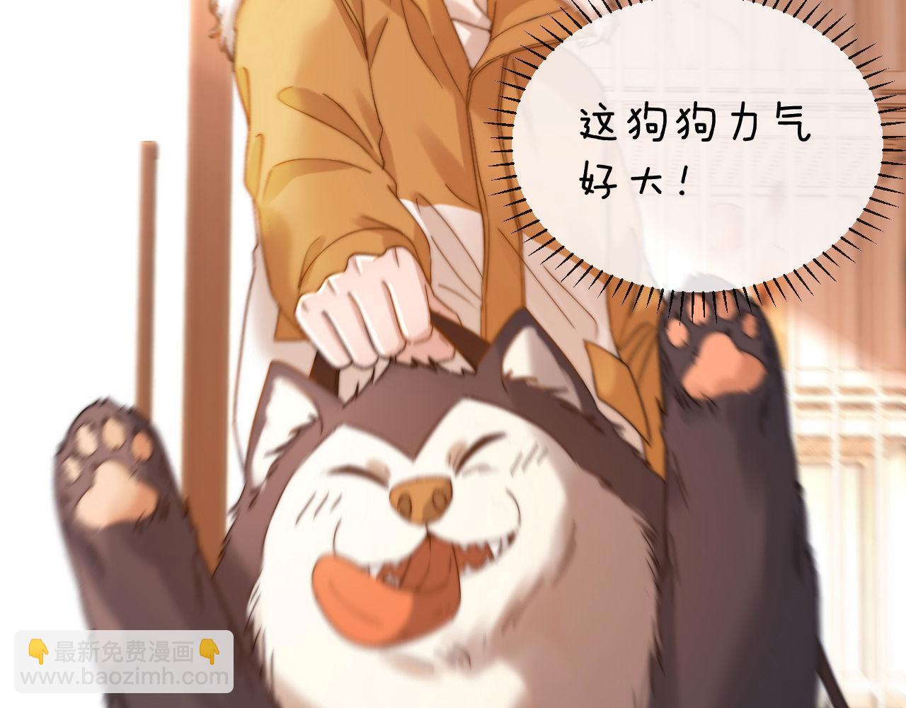 第49话 棉花糖走丢了？！(1/2)-第143话