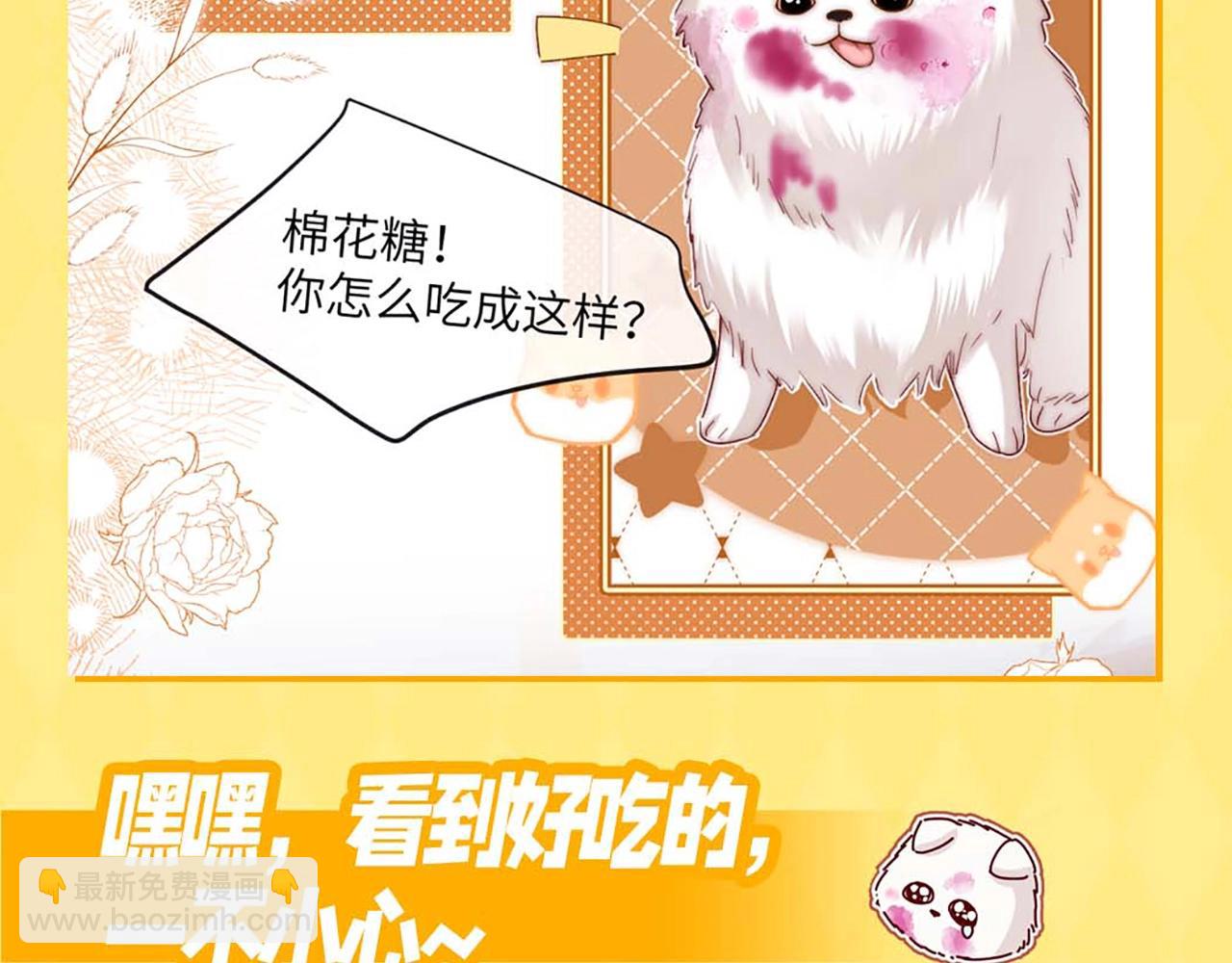 第9期 棉花糖的一天！-第25话