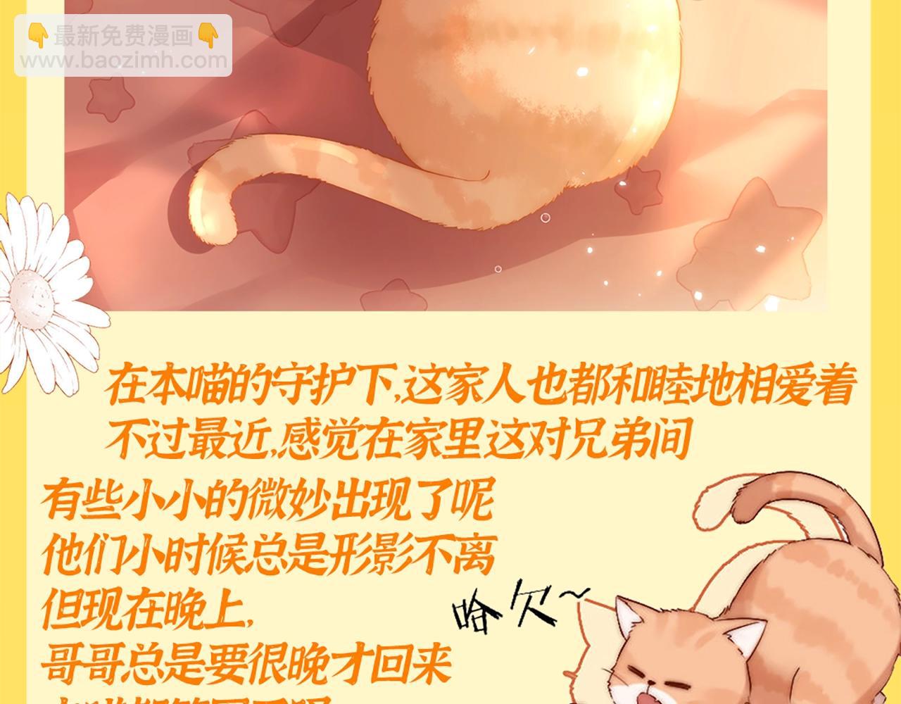 第20期 特别企划：橘子的家人观察日记-第39话