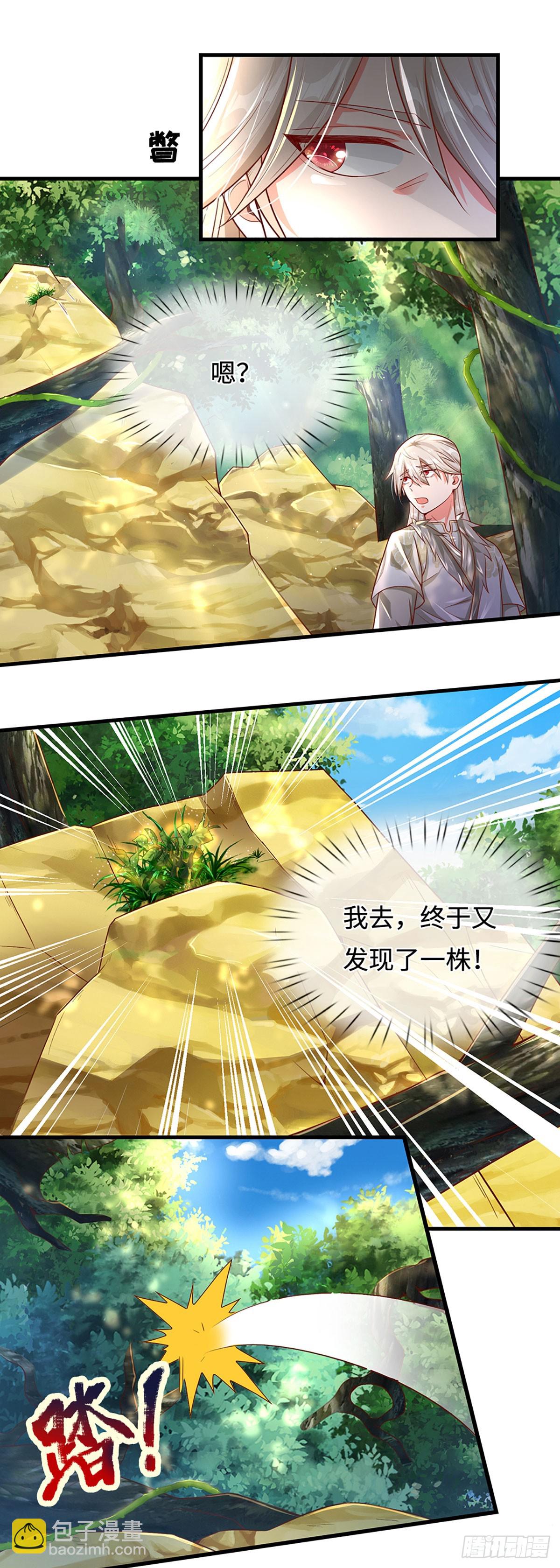 🍕氪丹修仙只苟长生 第19话 唯一的大危险 第4页