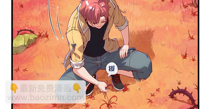 碰到老乡了？(1/4)-第55话
