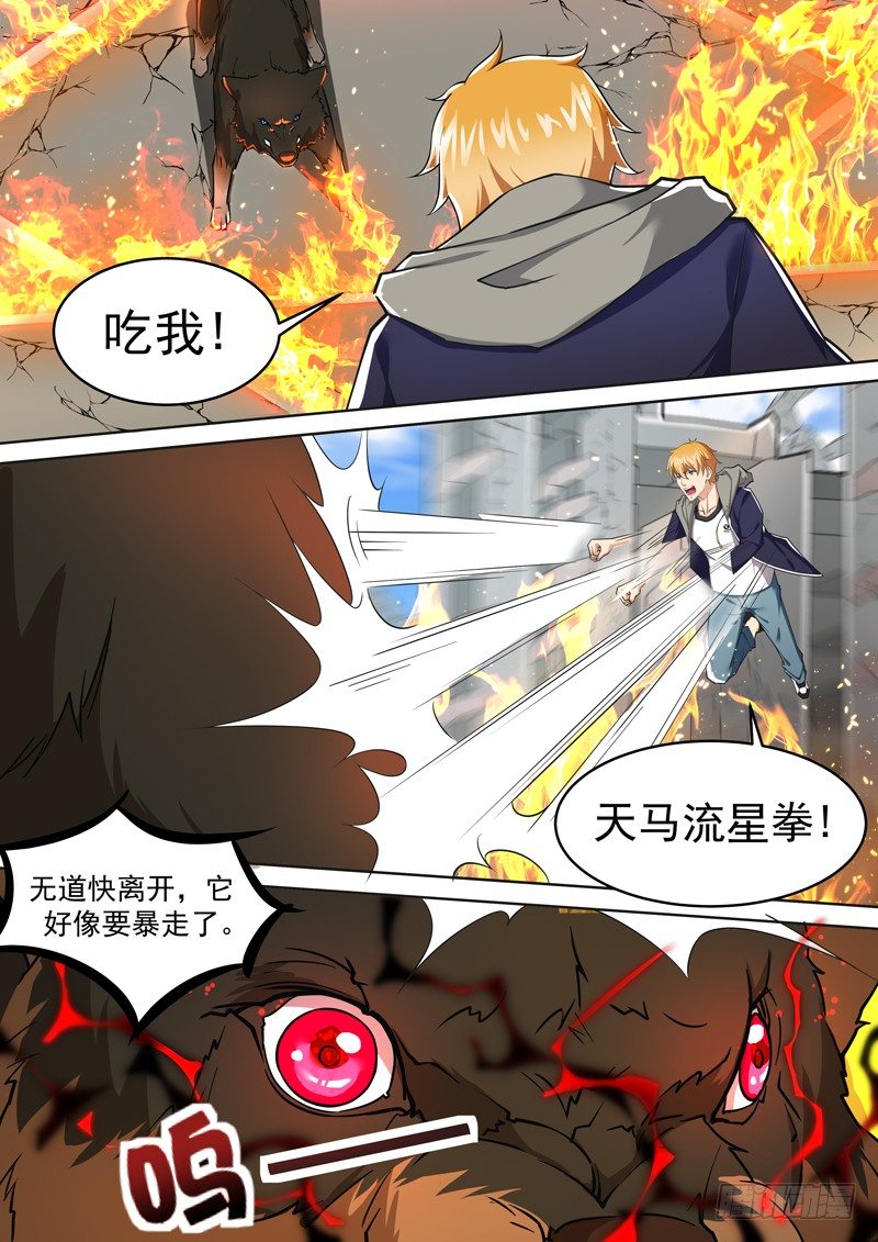 第十话 暴走的黑金狼王-第11话