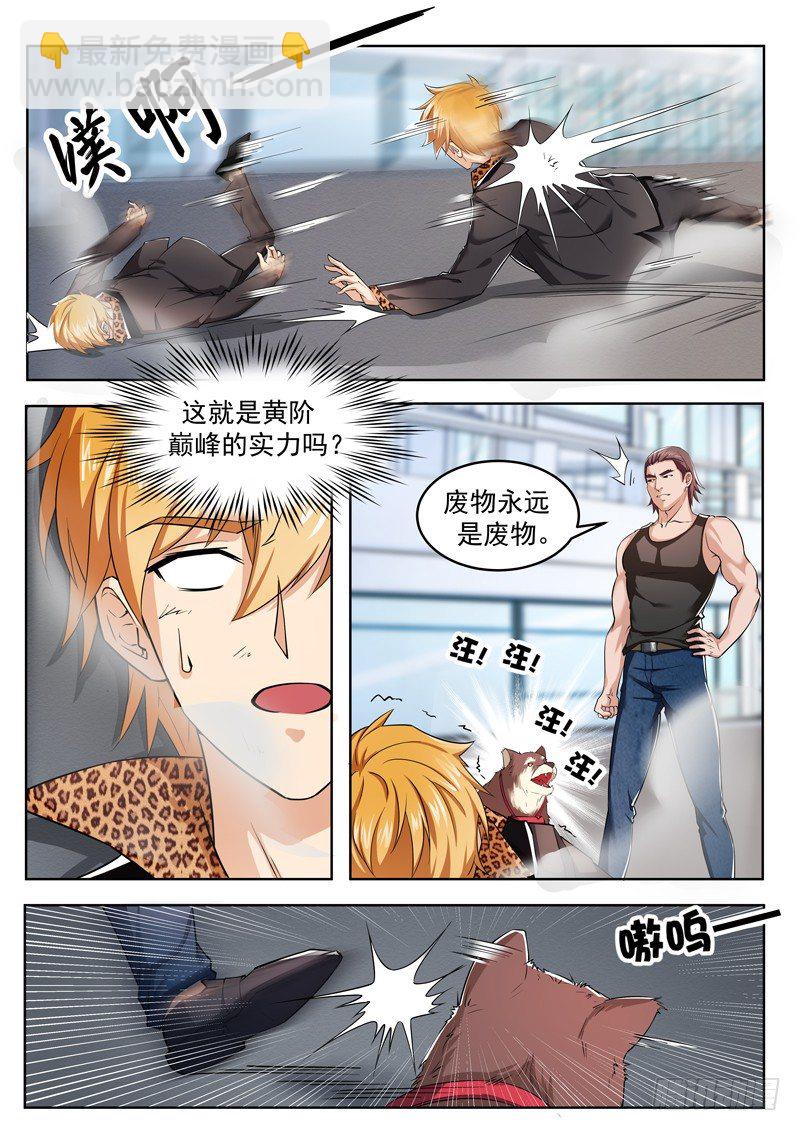 第二话 玄阶之下我第一-第3话