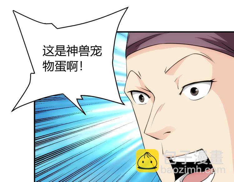 🍕氪金玩家 第44话 神兽出世！ 第39页