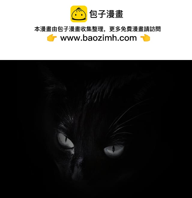 🍕恐惧灵魂 安全小区—九命猫 第2页