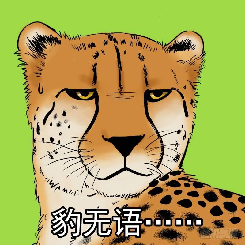 🍕快把动物放进冰箱 104秋季表情包合集 第2页