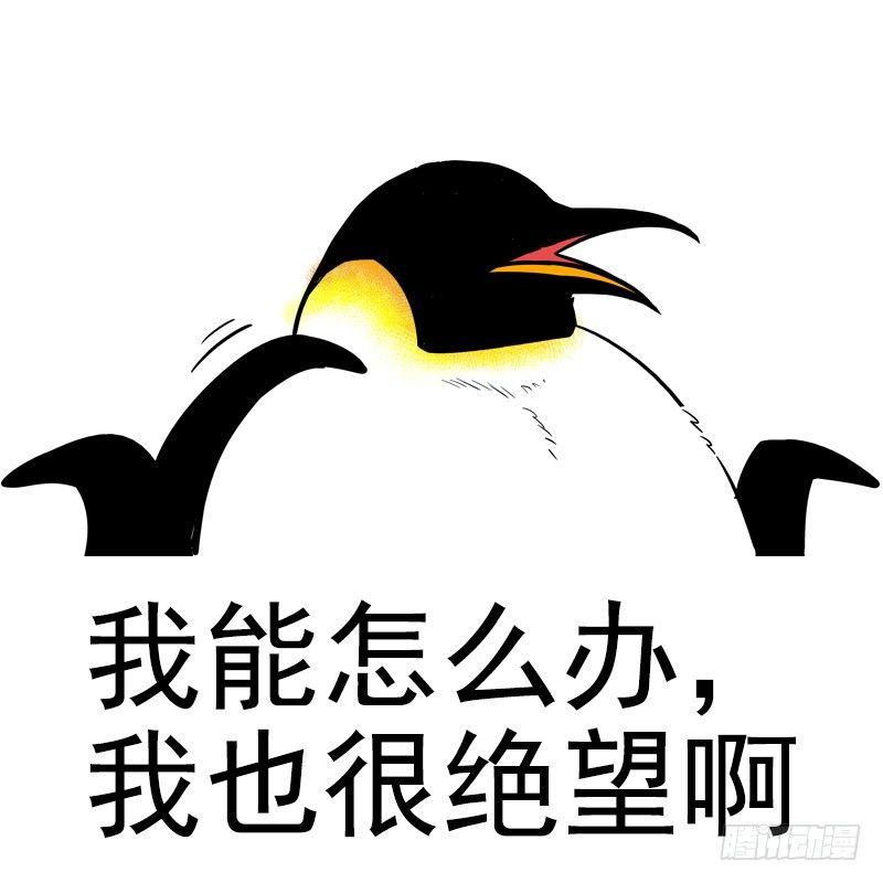 🍕快把动物放进冰箱 104秋季表情包合集 第9页