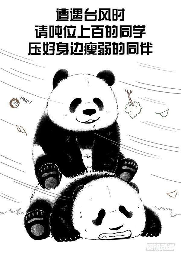 🍕快把动物放进冰箱 106台风出不散我的童真 第2页