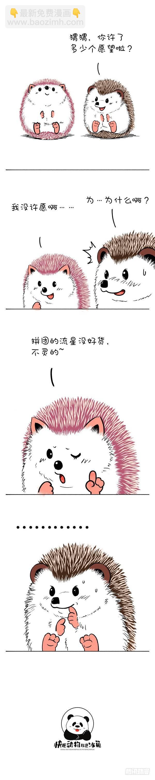 🍕快把动物放进冰箱 122和你去看流星雨 第3页