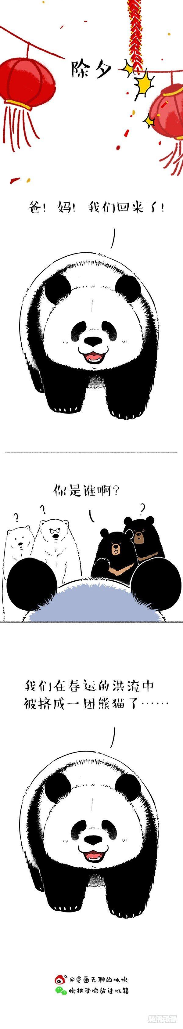 🍕快把动物放进冰箱 136过年回家爹妈都不认我了… 第3页