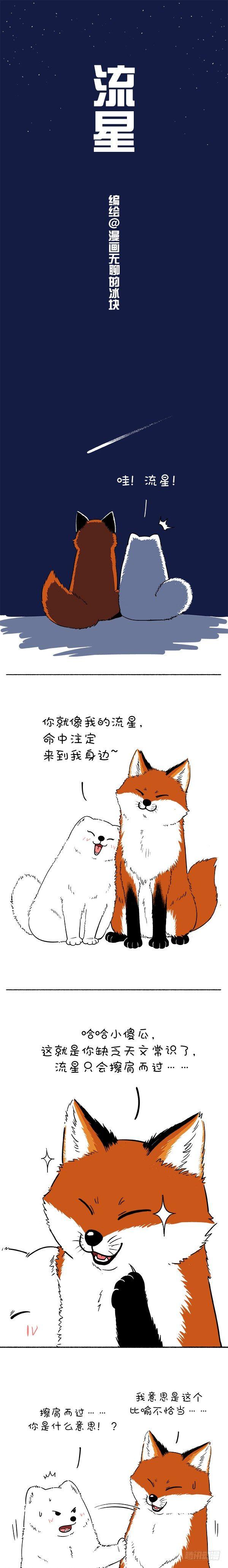 🍕快把动物放进冰箱 144最美的爱情原来画面如此惨烈 第1页