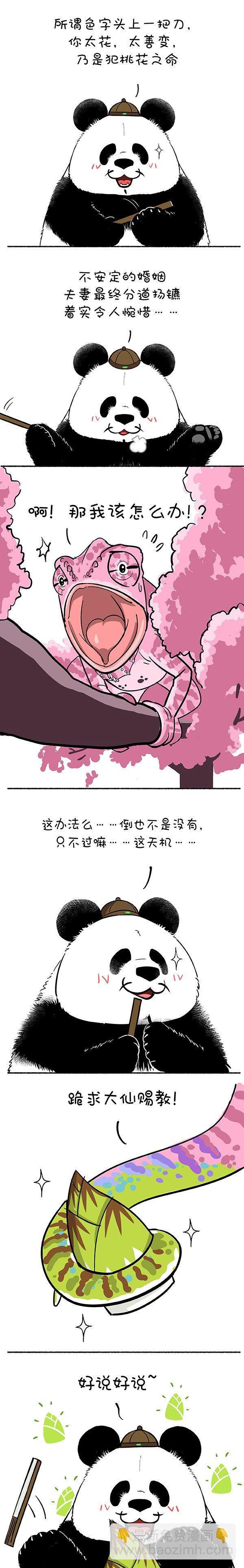 🍕快把动物放进冰箱 146奇大师不诓你之爱到白头 第2页