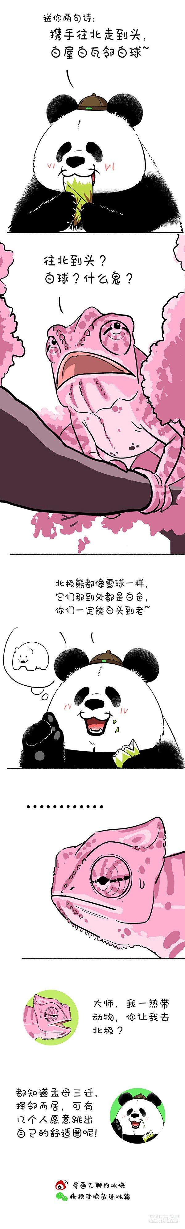 🍕快把动物放进冰箱 146奇大师不诓你之爱到白头 第3页