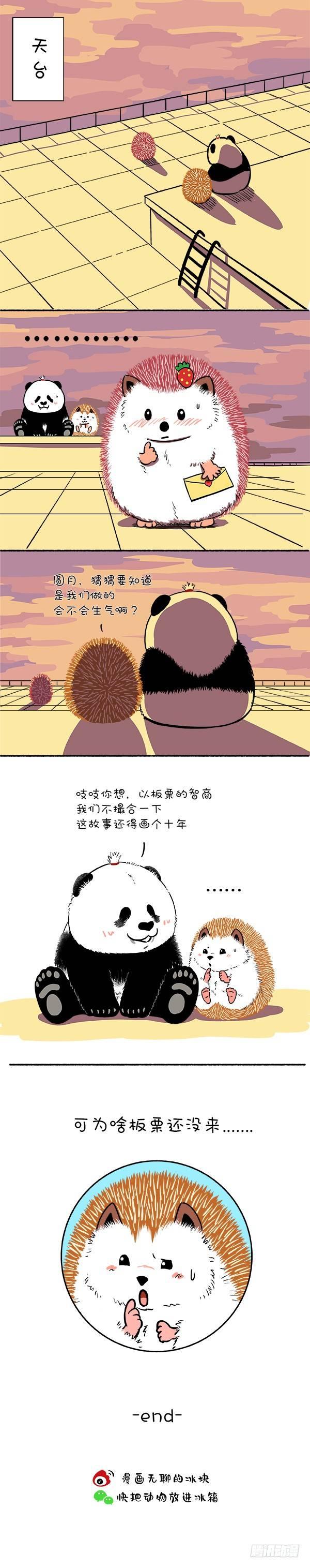 🍕快把动物放进冰箱 148有一封您的情书请查收 第3页
