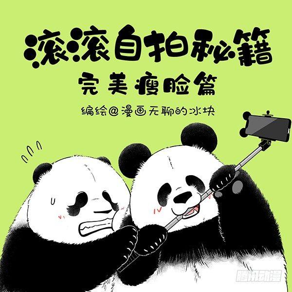 🍕快把动物放进冰箱 152cheese老师自拍秘籍 第1页