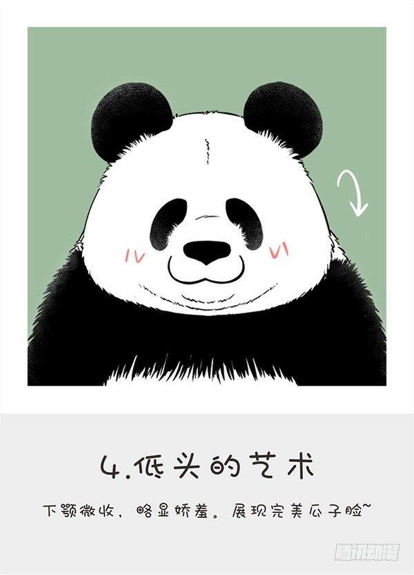 🍕快把动物放进冰箱 152cheese老师自拍秘籍 第5页