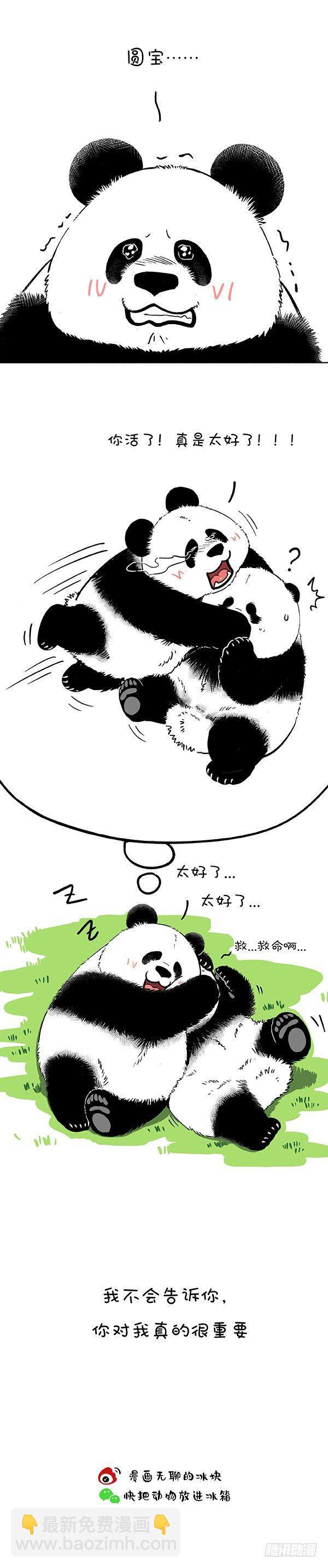 🍕快把动物放进冰箱 154有些话我只放在心里 第3页