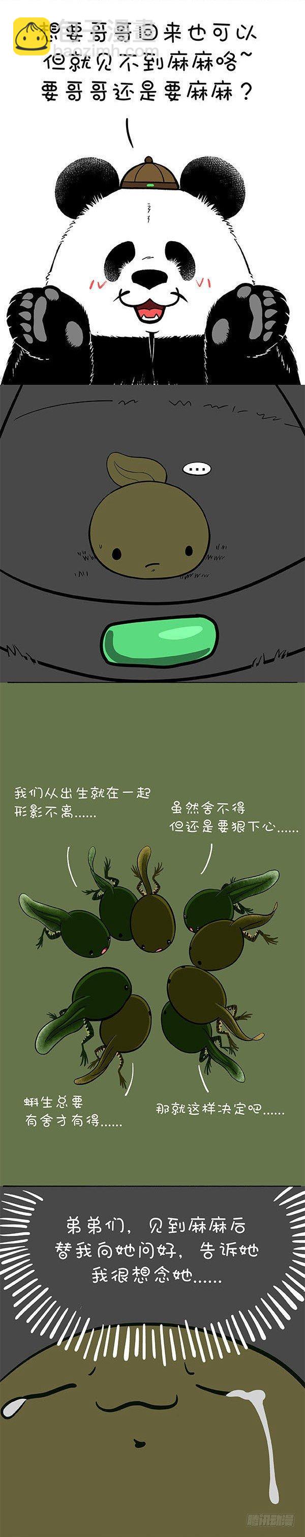 🍕快把动物放进冰箱 156生命中最重要的 第4页