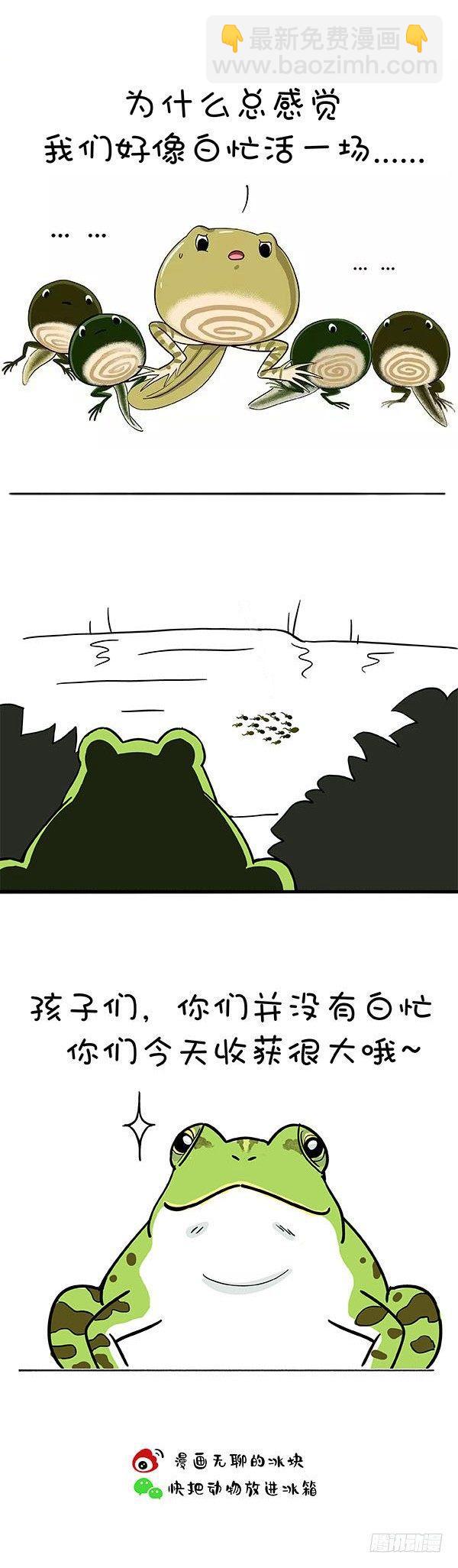 🍕快把动物放进冰箱 156生命中最重要的 第7页